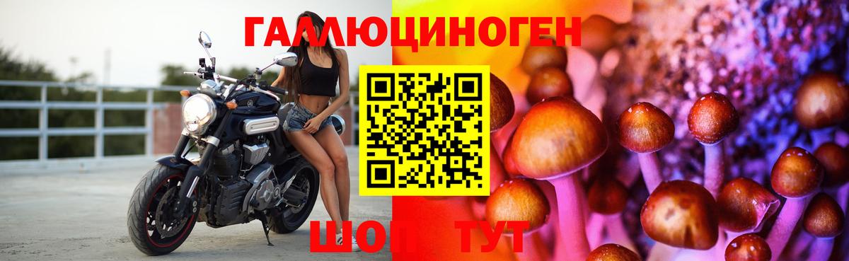 Лесосибирск  Галлюциногенные грибы Psilocybe  Вход с VPN 