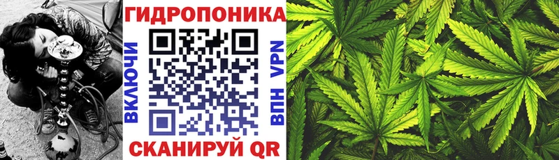 даркнет какой сайт  Лесосибирск  ссылка на мегу ССЫЛКА  Каннабис планчик  магазин продажи  